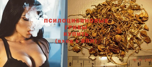 гидропоника Козловка