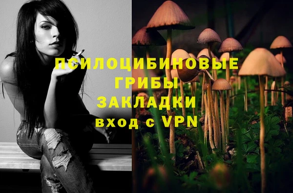 гидропоника Козловка