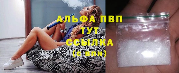 хмурый Магас