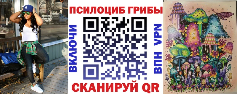 как найти закладки  Коркино  Псилоцибиновые грибы GOLDEN TEACHER 